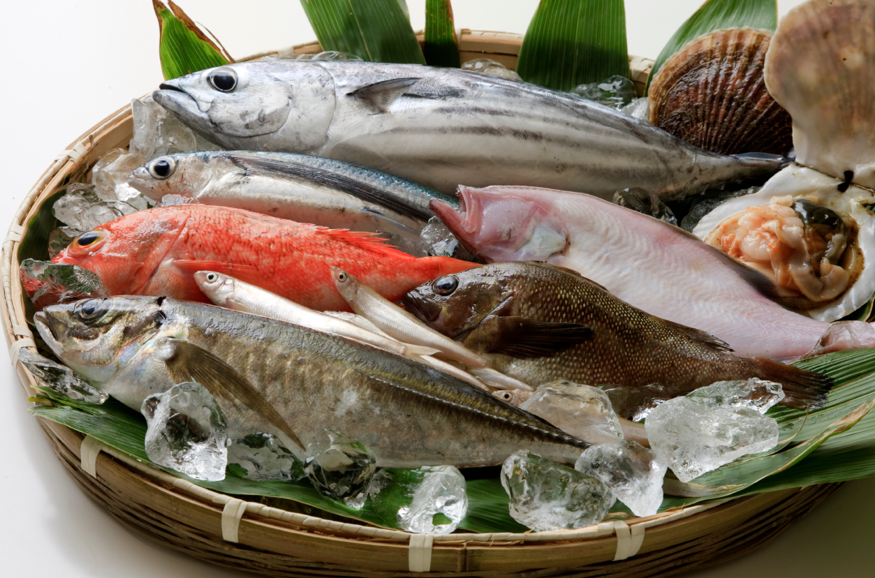 新鮮な魚